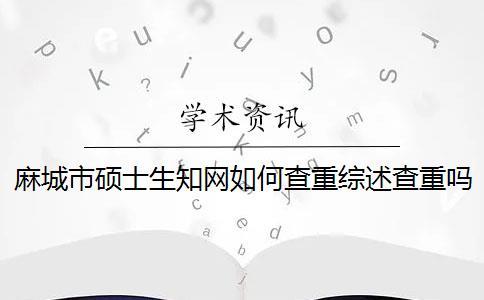 麻城市硕士生知网如何查重？综述查重吗？