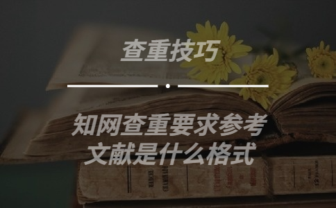 知网查重要求参考文献是什么格式