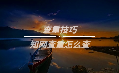 知网查重怎么查