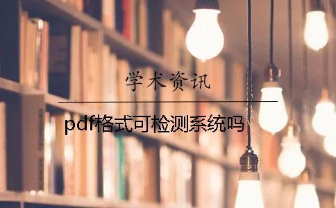 pdf格式可检测系统吗？