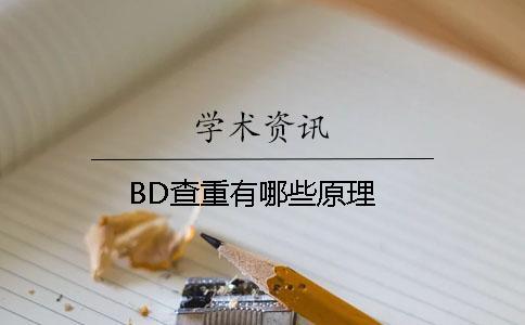 BD查重有哪些原理