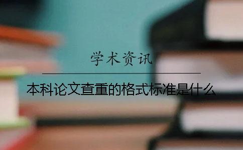 本科论文查重的格式标准是什么？