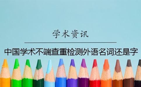 中国学术不端查重检测外语名词还是字母