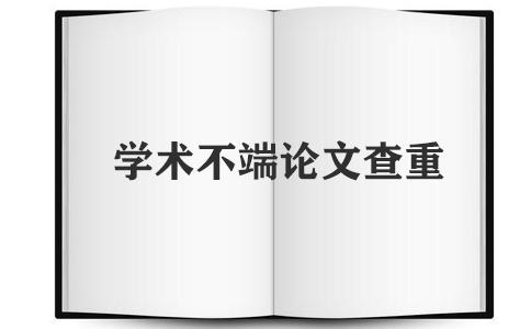 硕士论文查重率多少比较合适？(图1)